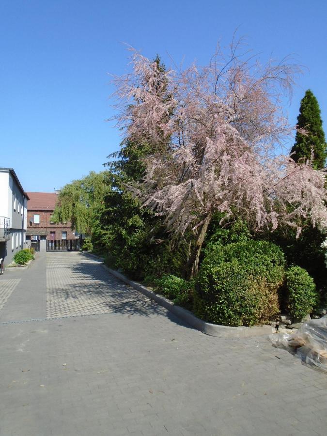 Villa Art Korab Gliwice Dış mekan fotoğraf